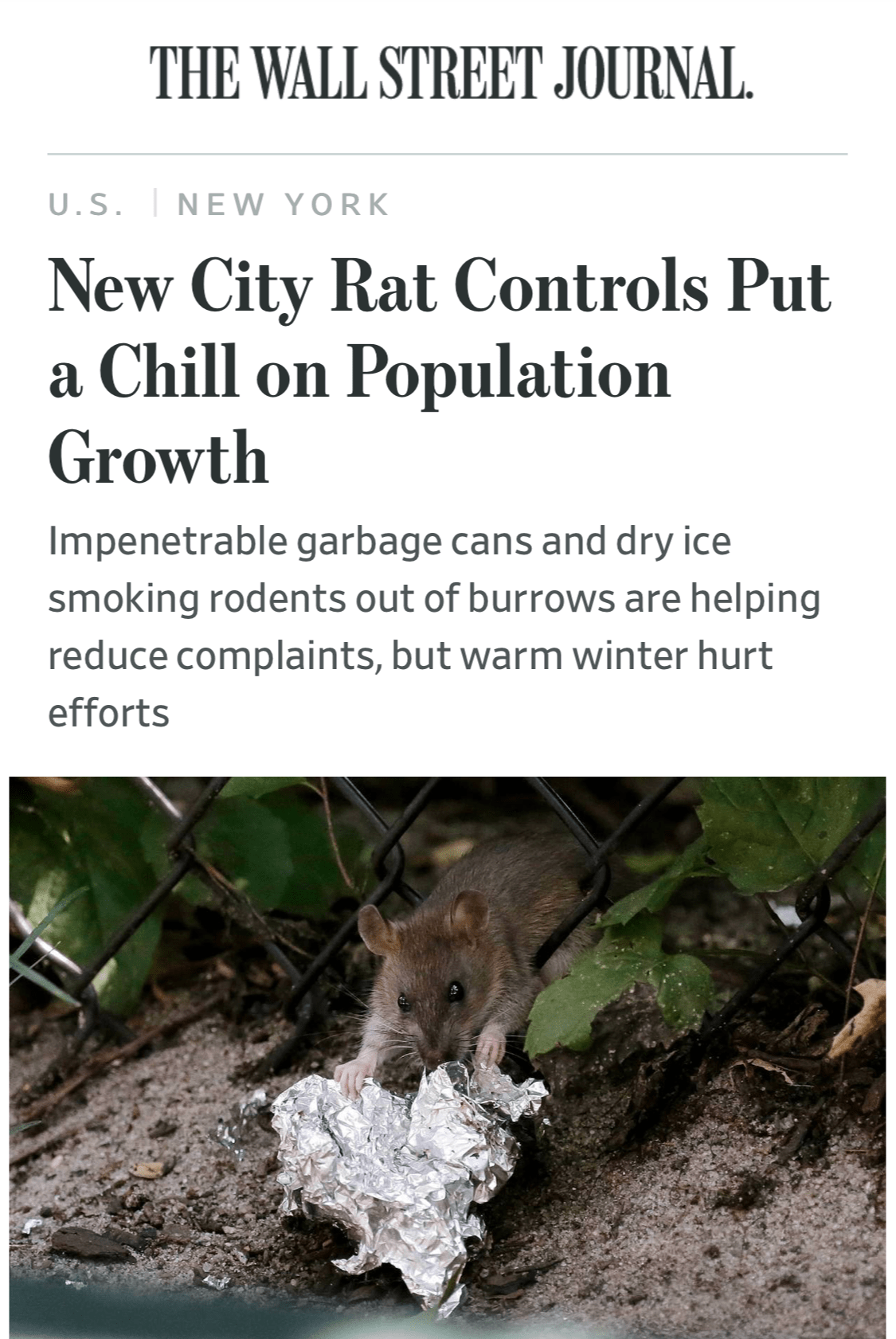 Wall Street Journal - New City Rat Controls Put a Chill on Population Growth