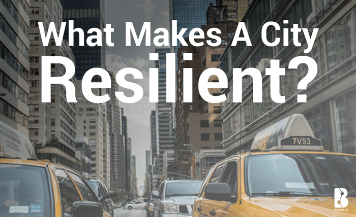 Bigbelly Smart Waste What Makes a City Resilient